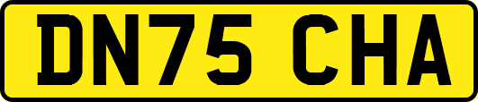 DN75CHA