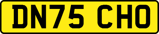 DN75CHO
