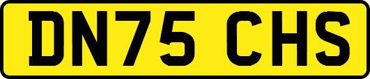 DN75CHS