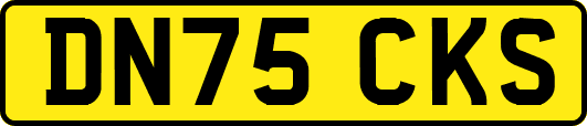 DN75CKS