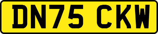 DN75CKW