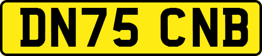 DN75CNB