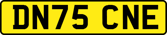 DN75CNE