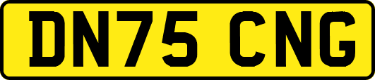 DN75CNG