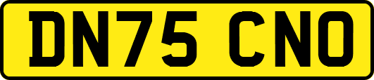 DN75CNO