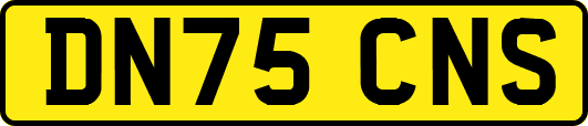 DN75CNS