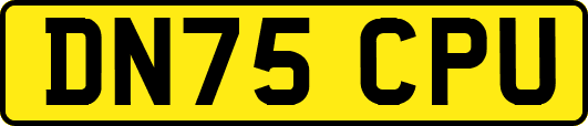DN75CPU