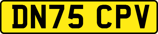 DN75CPV