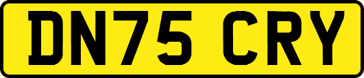 DN75CRY