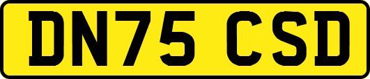 DN75CSD