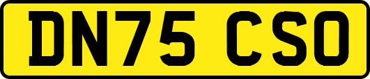 DN75CSO