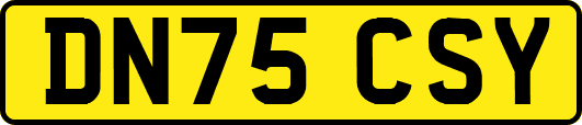 DN75CSY