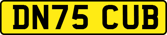 DN75CUB