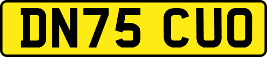 DN75CUO