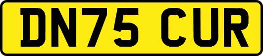 DN75CUR