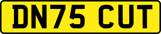 DN75CUT