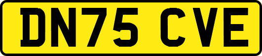 DN75CVE