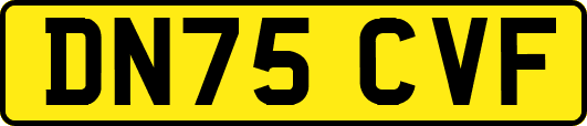 DN75CVF