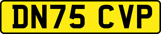 DN75CVP