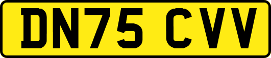 DN75CVV