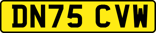 DN75CVW