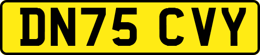 DN75CVY