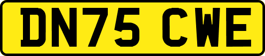 DN75CWE