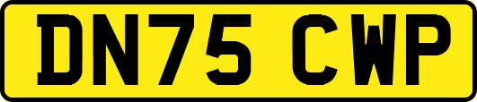 DN75CWP