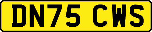 DN75CWS