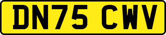 DN75CWV