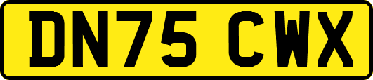 DN75CWX