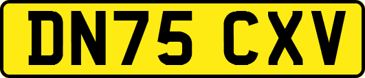 DN75CXV