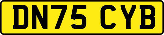 DN75CYB