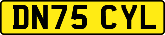 DN75CYL