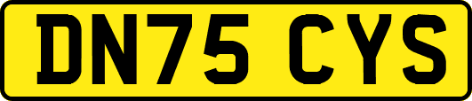 DN75CYS
