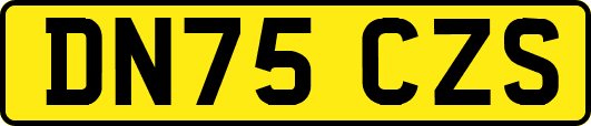 DN75CZS