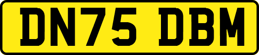 DN75DBM
