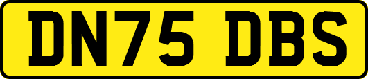 DN75DBS
