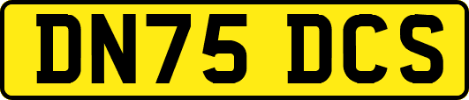 DN75DCS
