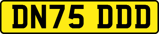 DN75DDD