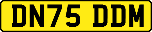 DN75DDM