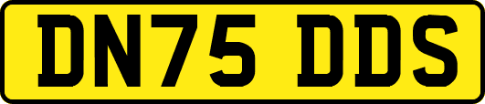 DN75DDS