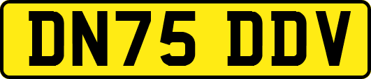 DN75DDV