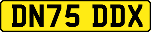 DN75DDX
