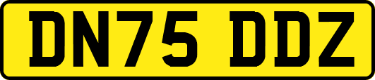 DN75DDZ