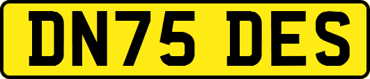 DN75DES