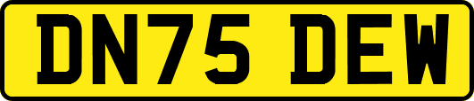 DN75DEW