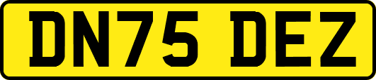 DN75DEZ