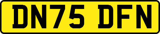 DN75DFN