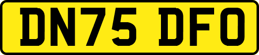 DN75DFO